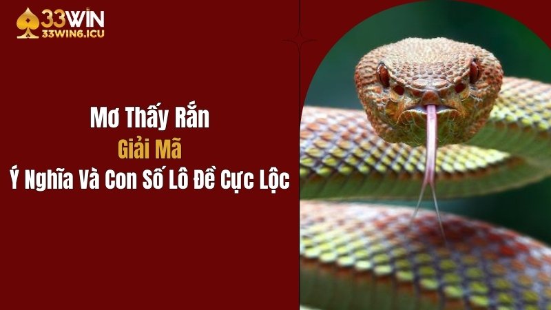 Mơ Thấy Rắn: Giải Mã Ý Nghĩa Và Con Số Lô Đề Cực Lộc
